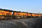 BNSF 5019 Roster shot.